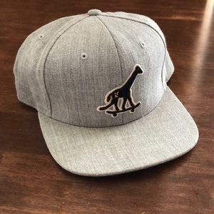 LRG Snapback Hat